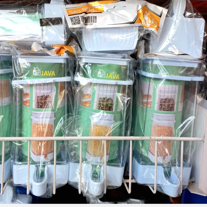 دانخوری سیلویی جاوا