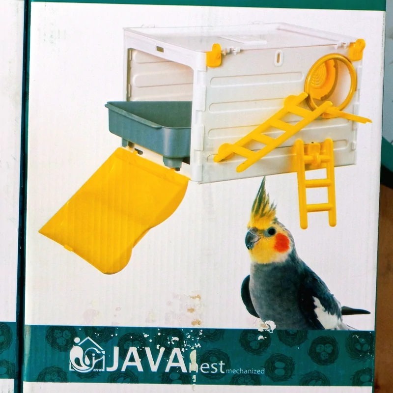 لانه عروس هلندی و کوتوله برزیلی جاوا پلاستیکی